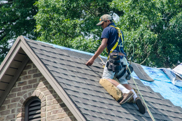 Best Roof Maintenance Services  in Ripley, OH